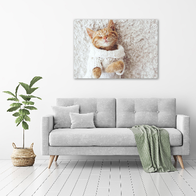 Schilderij op glas Katje in een trui