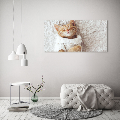 Schilderij op glas Katje in een trui