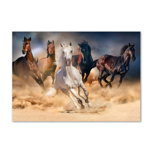 Schilderij glas Paarden in galop