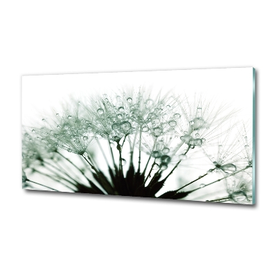 Schilderij glas Paardenbloemzaden