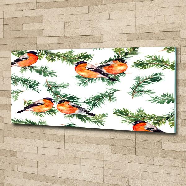 Foto-obraz szklany Rudzik na iglaku