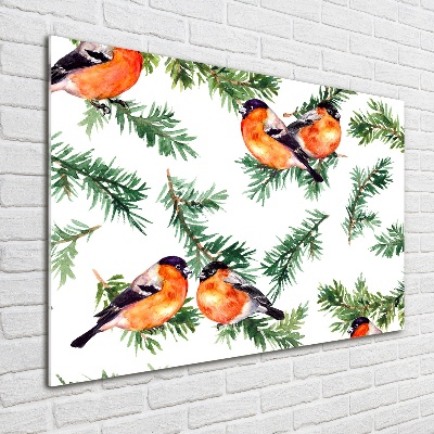 Foto-obraz szklany Rudzik na iglaku