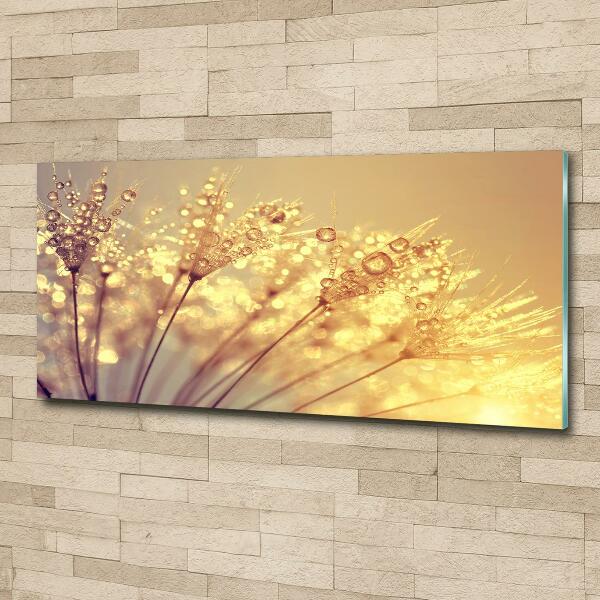 Glazen schilderij Paardenbloemzaden