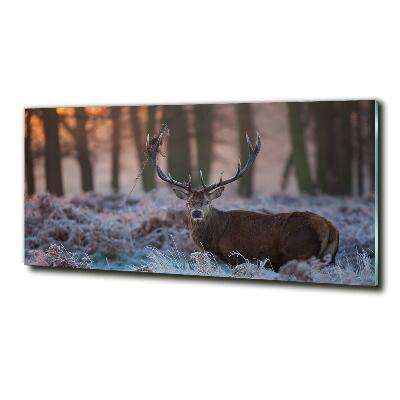 Schilderij glas Hert bij zonsopgang