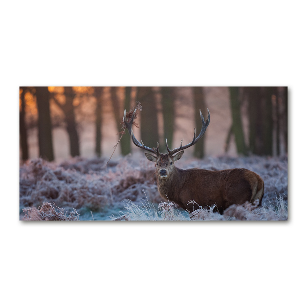 Schilderij glas Hert bij zonsopgang