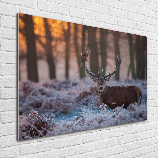 Schilderij glas Hert bij zonsopgang