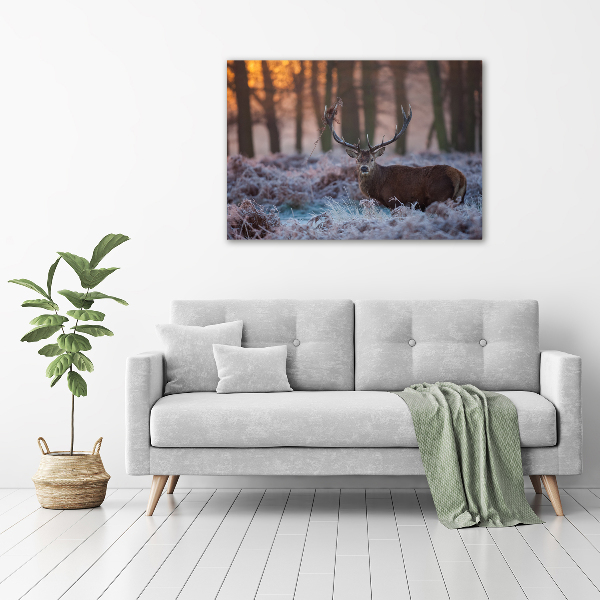 Schilderij glas Hert bij zonsopgang