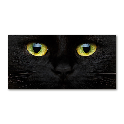 Glazen schilderij Kattenogen