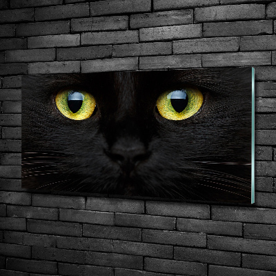 Glazen schilderij Kattenogen