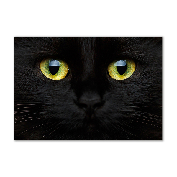 Glazen schilderij Kattenogen