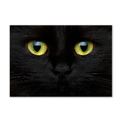 Glazen schilderij Kattenogen