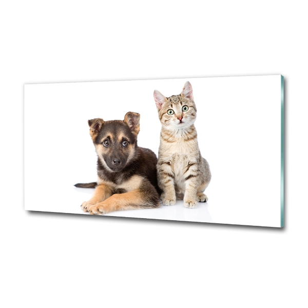 Foto schilderij op glas Hond en kat