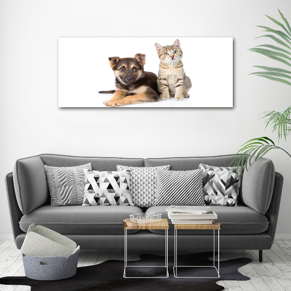Foto schilderij op glas Hond en kat