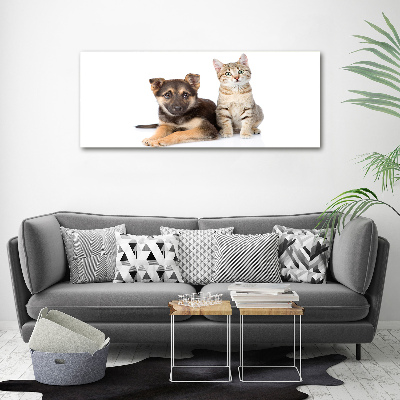Foto schilderij op glas Hond en kat