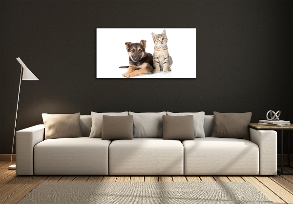 Foto schilderij op glas Hond en kat