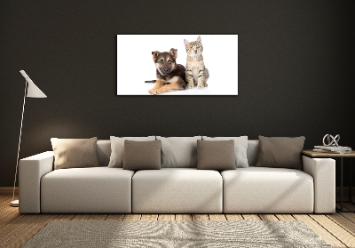 Foto schilderij op glas Hond en kat