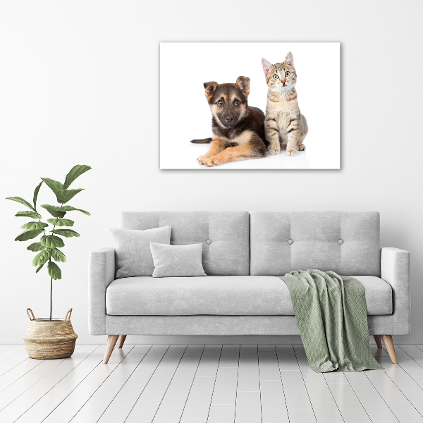 Foto schilderij op glas Hond en kat