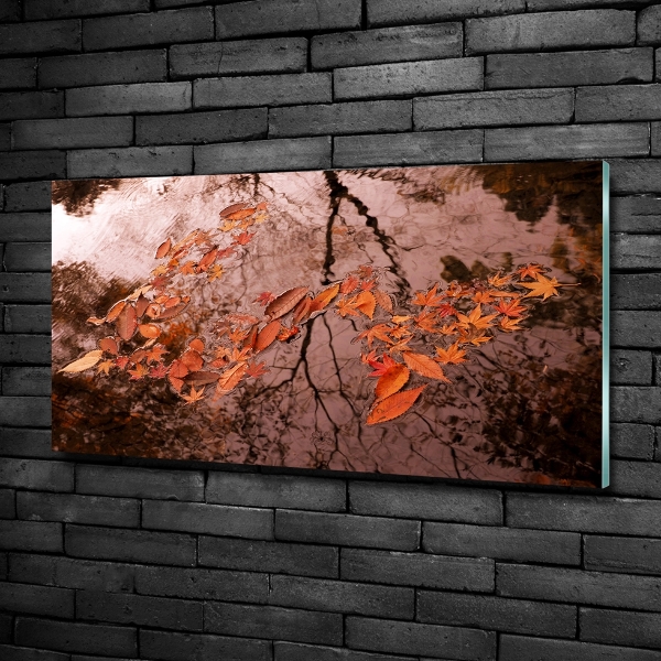 Schilderij op glas Bladeren op het water