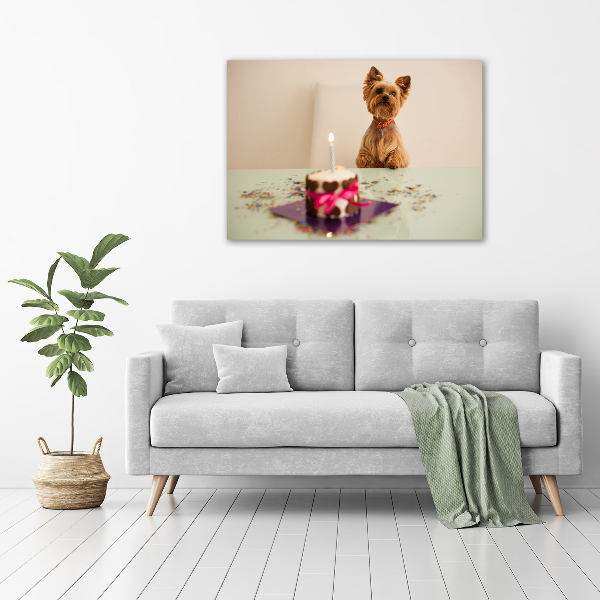 Schilderij op glas Hond met taart