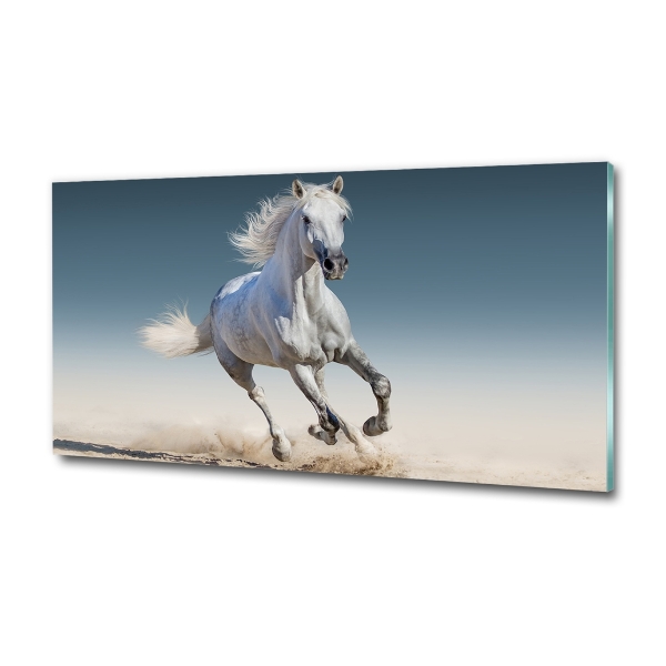 Schilderij glas Een wit paard in galop