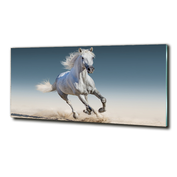 Schilderij glas Een wit paard in galop