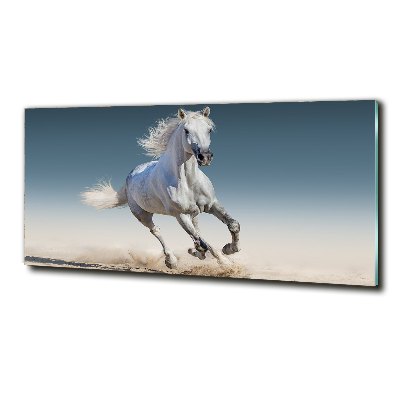 Schilderij glas Een wit paard in galop
