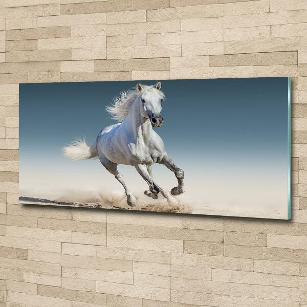 Schilderij glas Een wit paard in galop