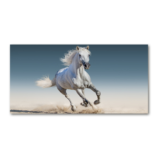 Schilderij glas Een wit paard in galop