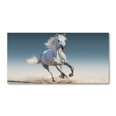 Schilderij glas Een wit paard in galop
