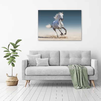 Schilderij glas Een wit paard in galop
