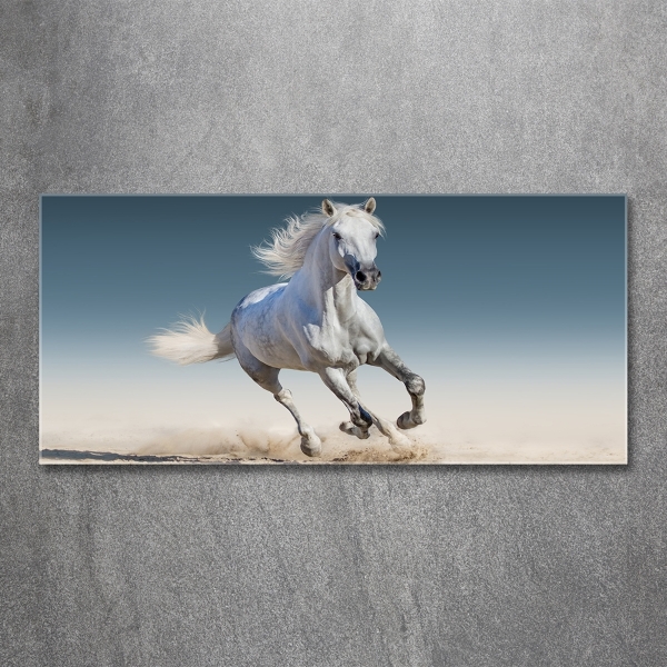 Schilderij glas Een wit paard in galop
