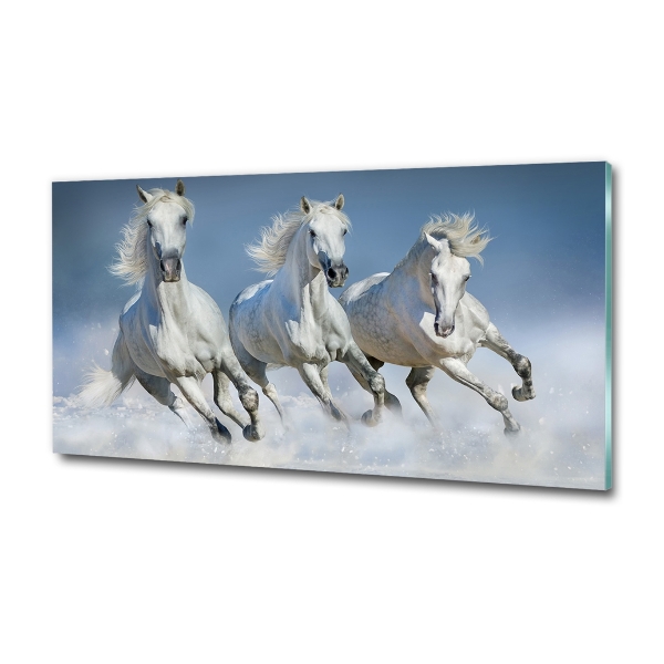 Glazen schilderij Paarden in galop