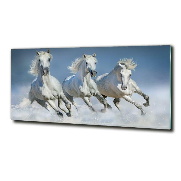 Glazen schilderij Paarden in galop