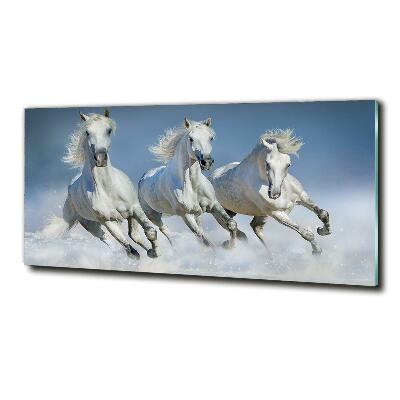 Glazen schilderij Paarden in galop