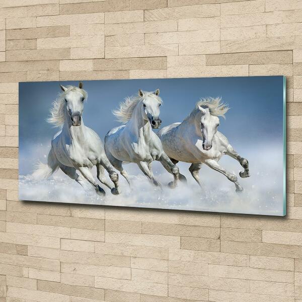 Glazen schilderij Paarden in galop