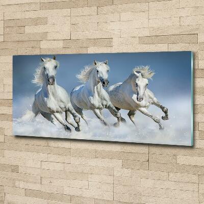 Glazen schilderij Paarden in galop
