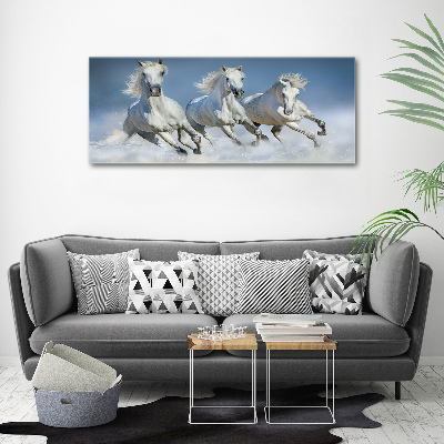 Glazen schilderij Paarden in galop