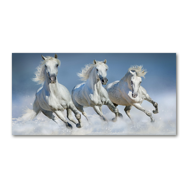 Glazen schilderij Paarden in galop