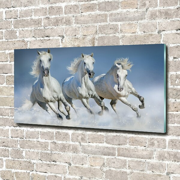 Glazen schilderij Paarden in galop