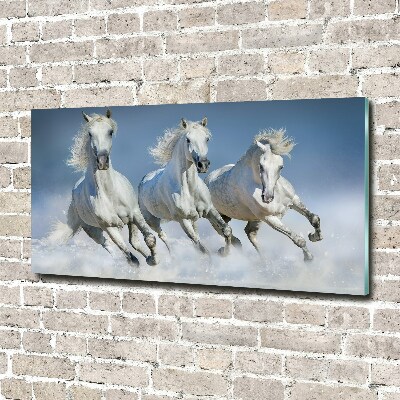 Glazen schilderij Paarden in galop