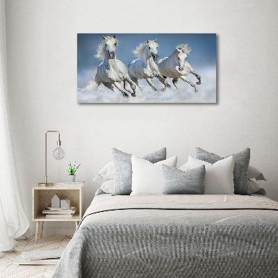 Glazen schilderij Paarden in galop