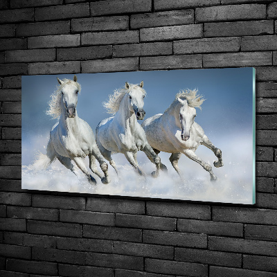 Glazen schilderij Paarden in galop
