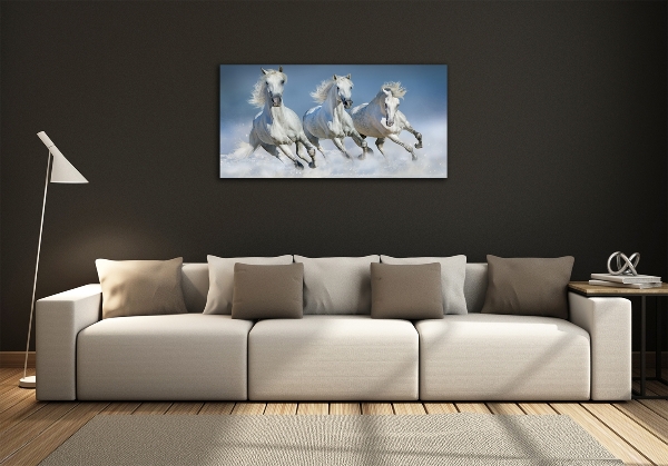 Glazen schilderij Paarden in galop