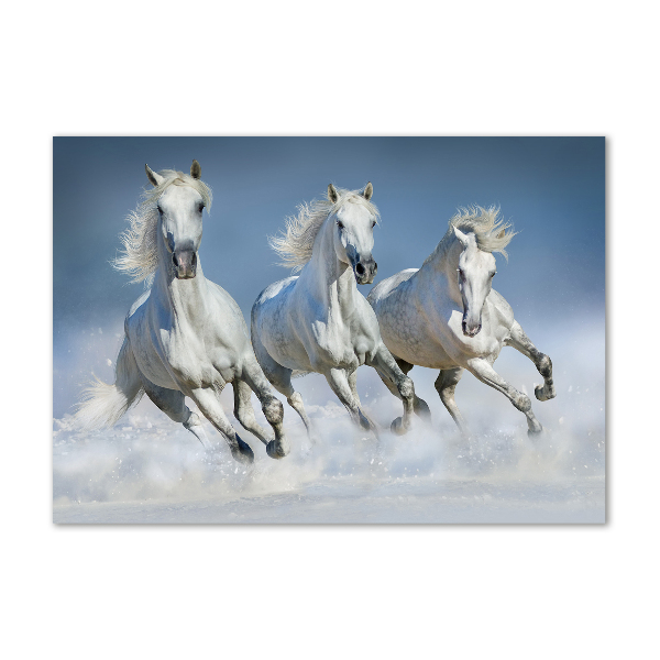 Glazen schilderij Paarden in galop
