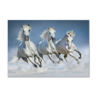 Glazen schilderij Paarden in galop