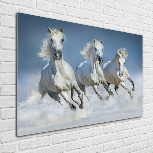 Glazen schilderij Paarden in galop
