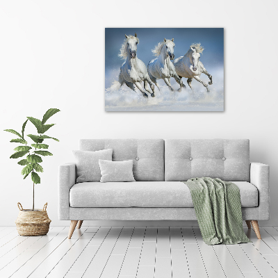 Glazen schilderij Paarden in galop
