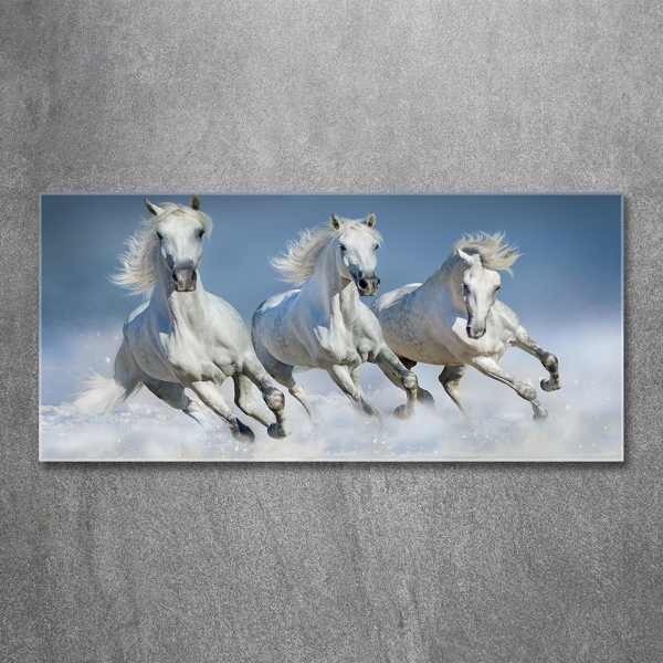 Glazen schilderij Paarden in galop