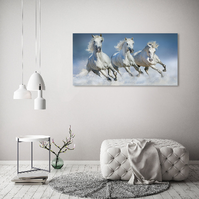 Glazen schilderij Paarden in galop