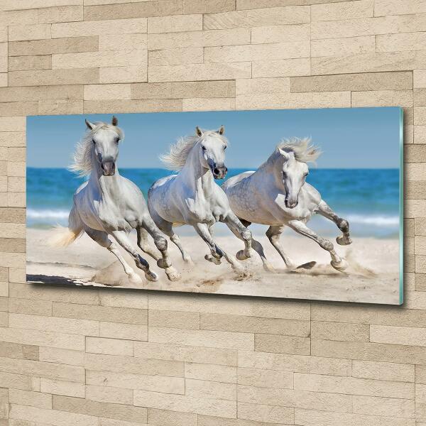 Foto schilderij op glas Witte paardenstrand